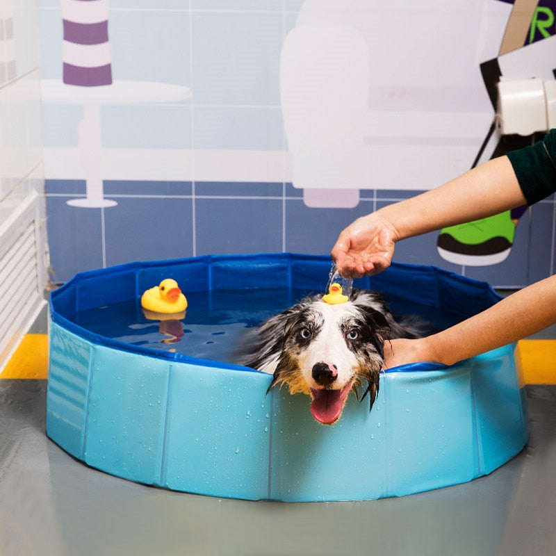 Foldable Dog Pool-FurrGo