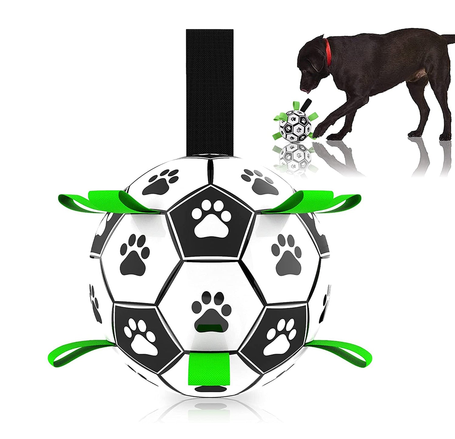 Doggy Soccer Ball