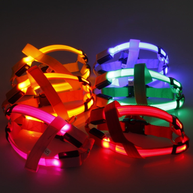 LED Glowing Dog Harness