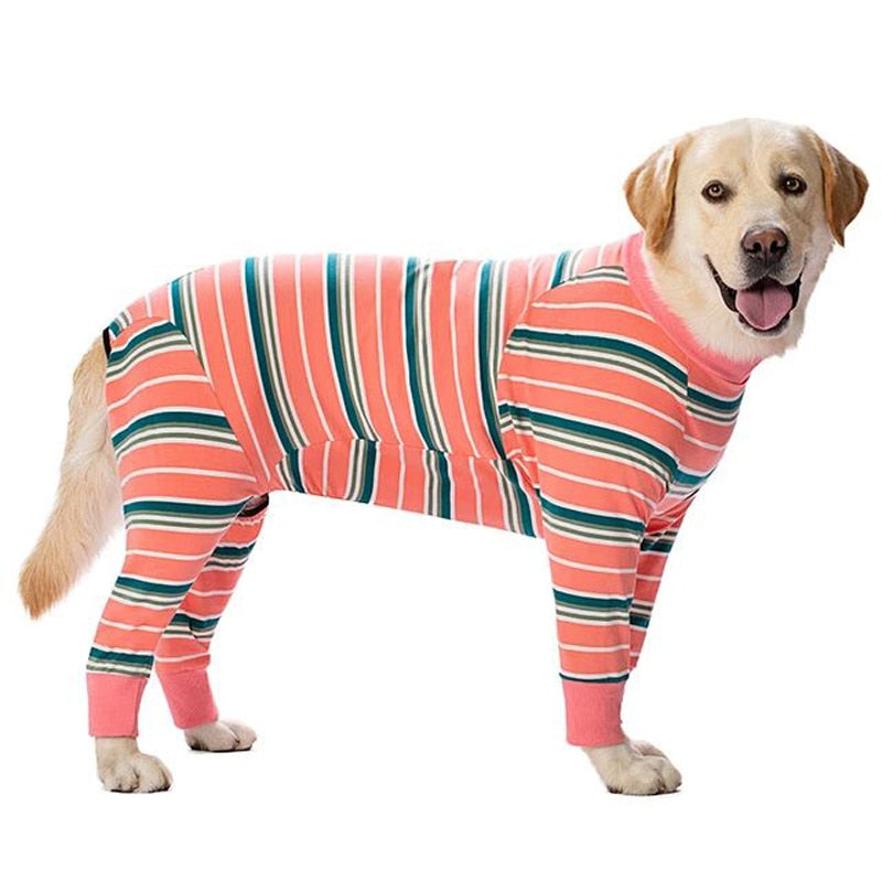Dog Pajamas