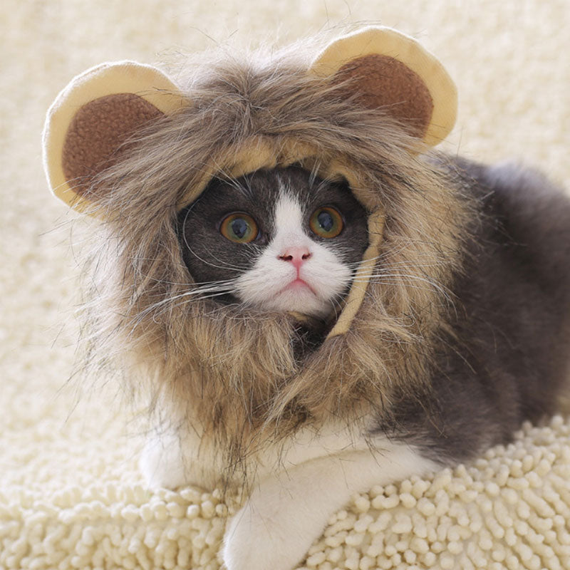 Lion Mane Cat Costume-FurrGo