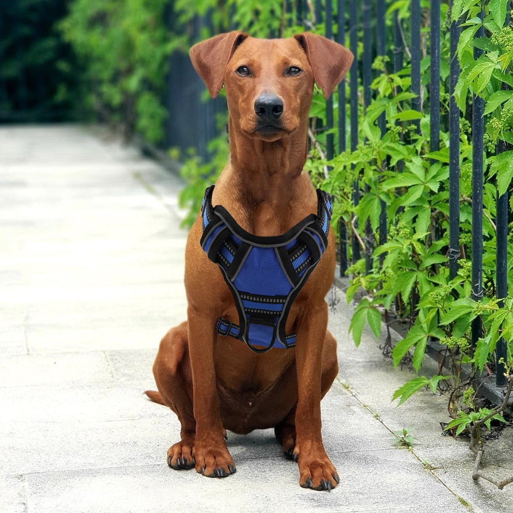 No-Pull Dog Harness With Handle-FurrGo