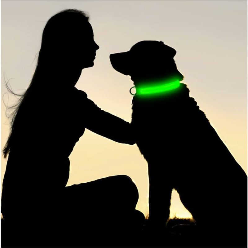 LED Glowing Dog Collar