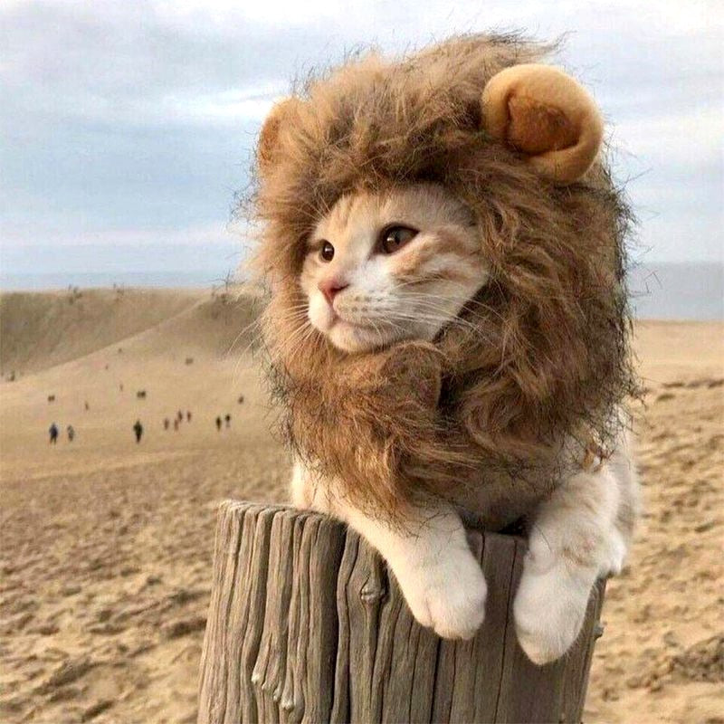 Lion Mane Cat Costume-FurrGo