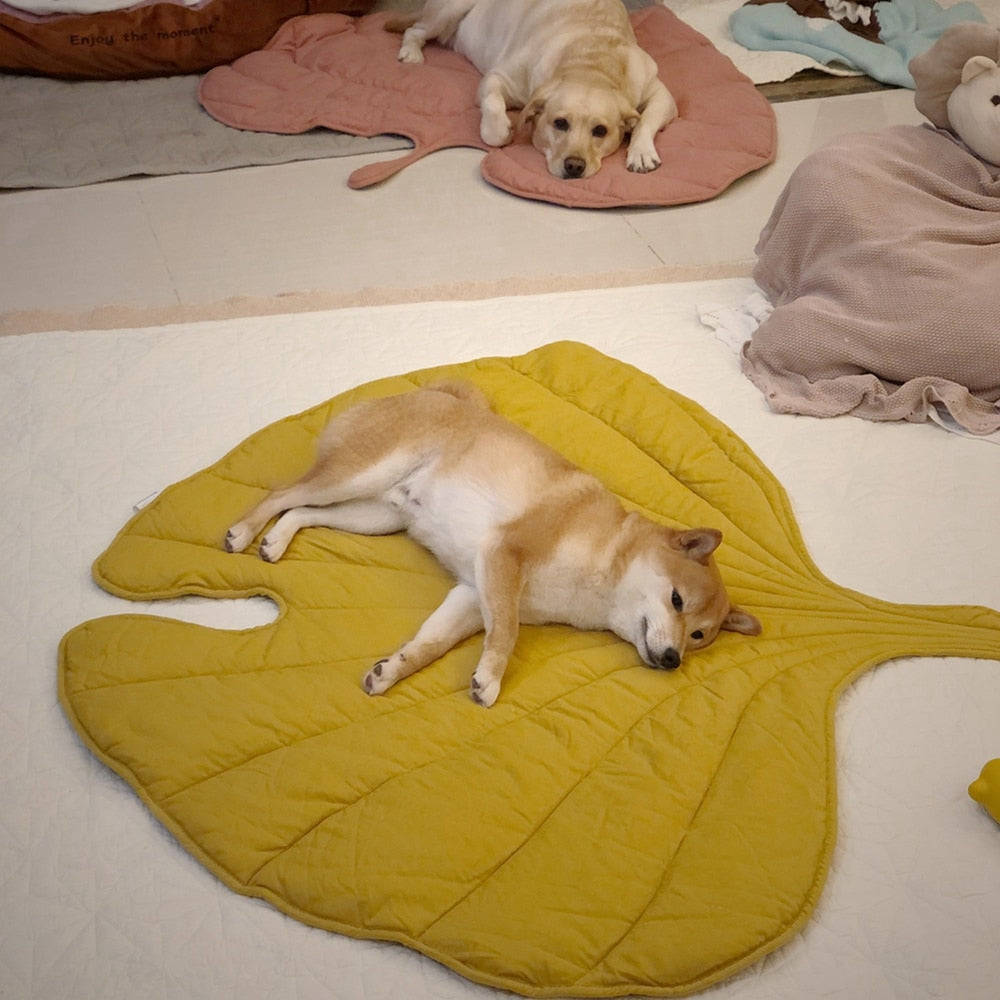 Leafy Pet Blanket-FurrGo