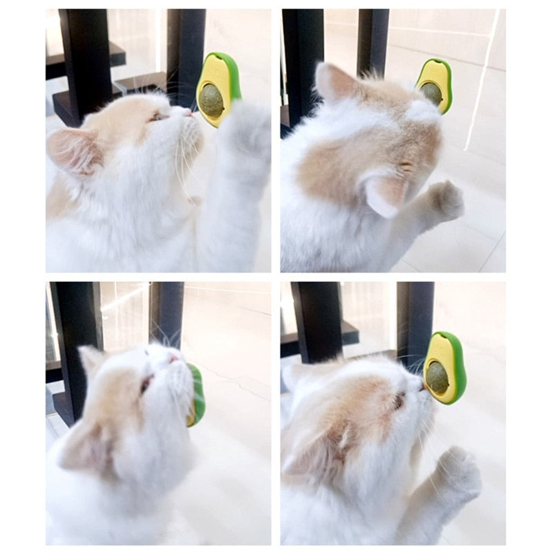 Avocado Catnip Teeth-Cleaning Wall Toy