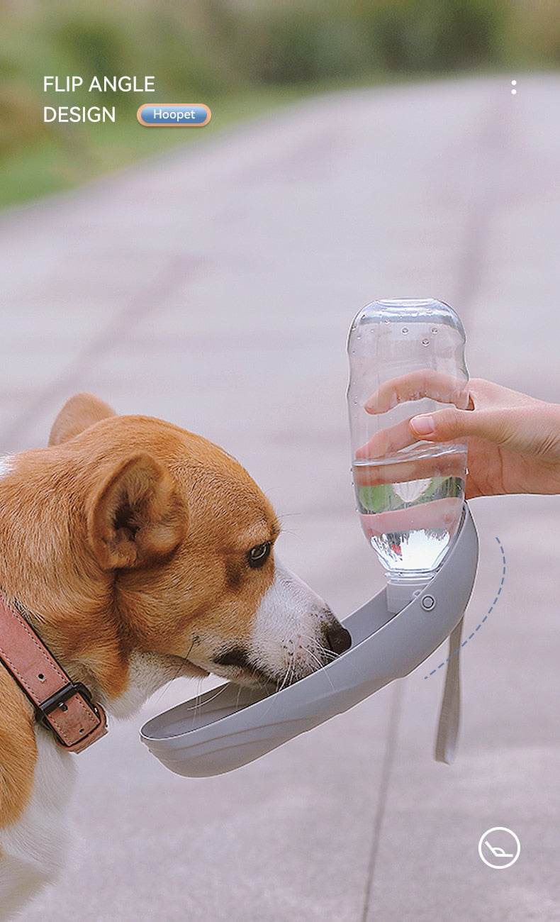 Jumbo Portable Dog Water Bottle & Dispenser-FurrGo