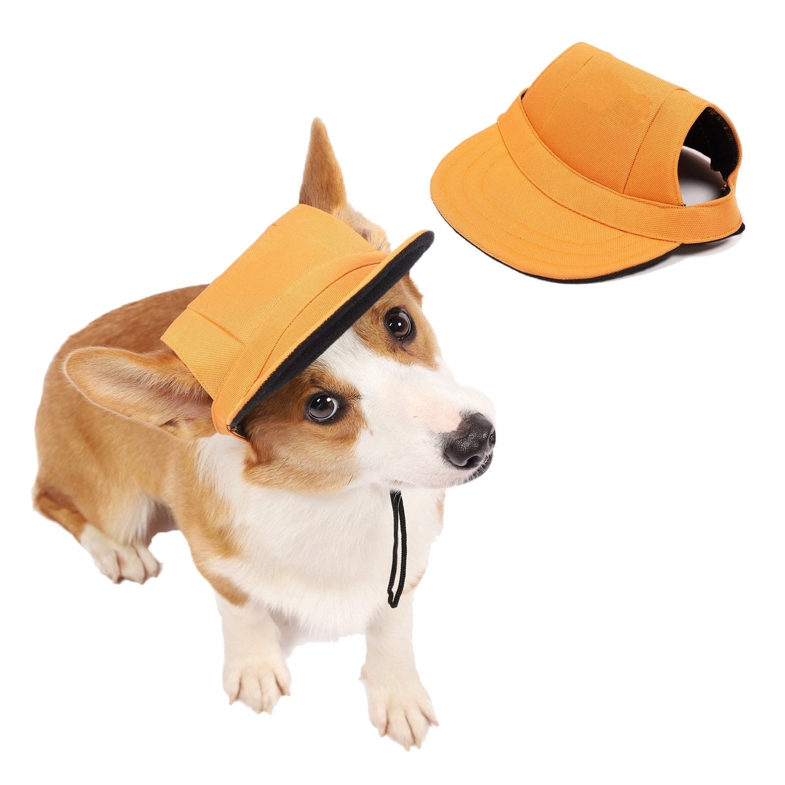 Dog Summer Hats