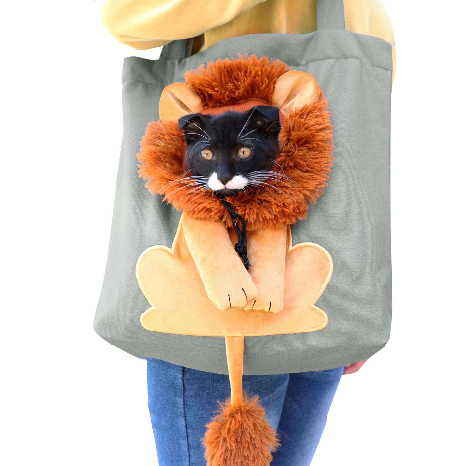 Lion Cat Carrier Bag-FurrGo