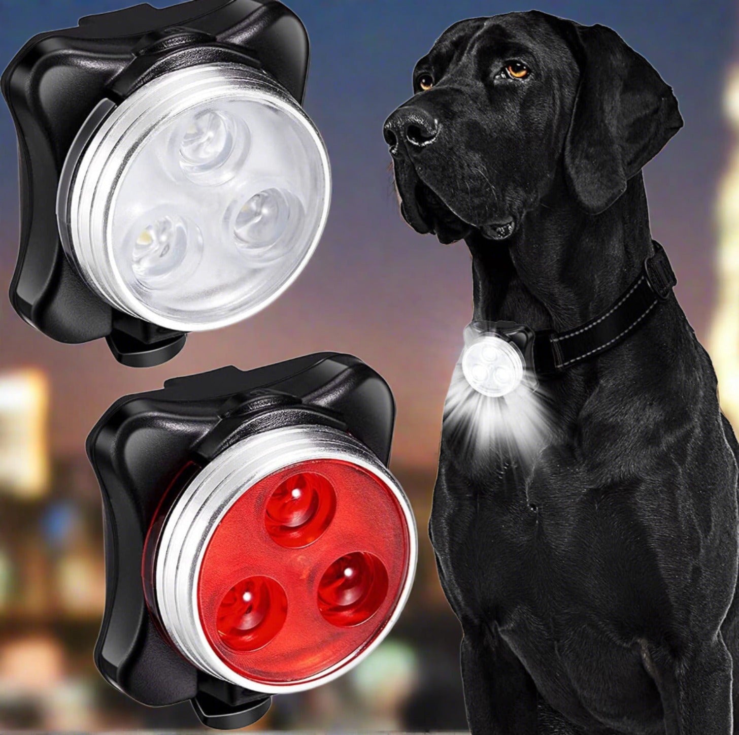 Dog Collar LED Light