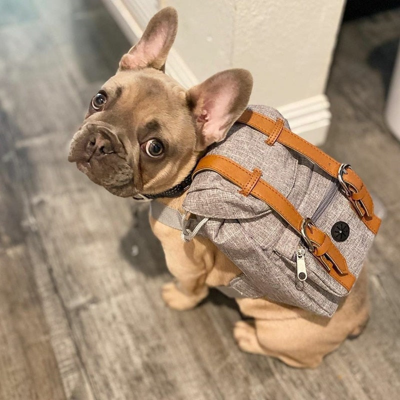 Small Dog Backpack Harness