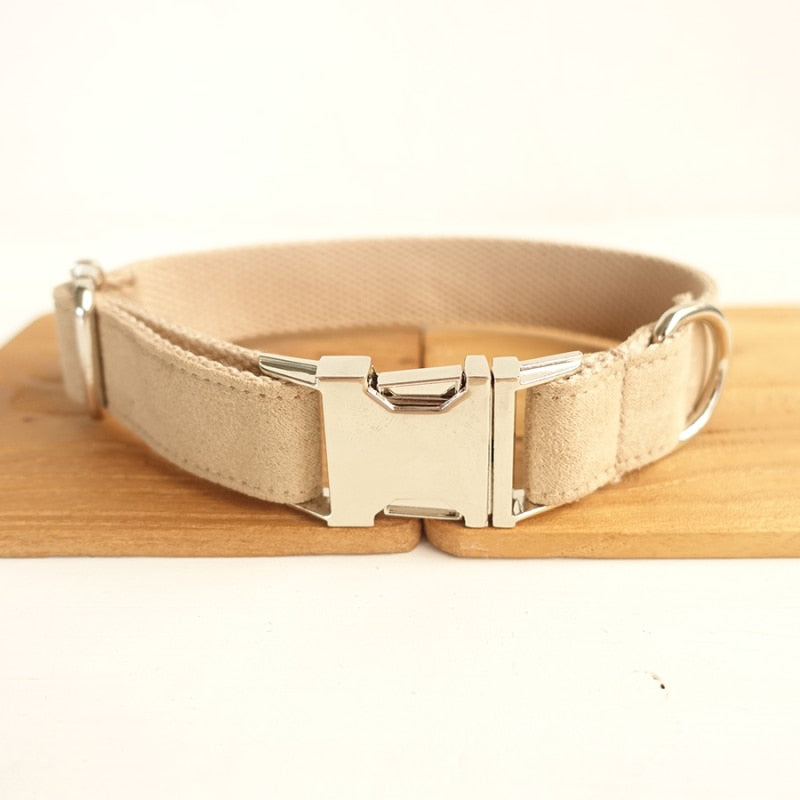 Custom Engraved Stainless Steel Dog Collar