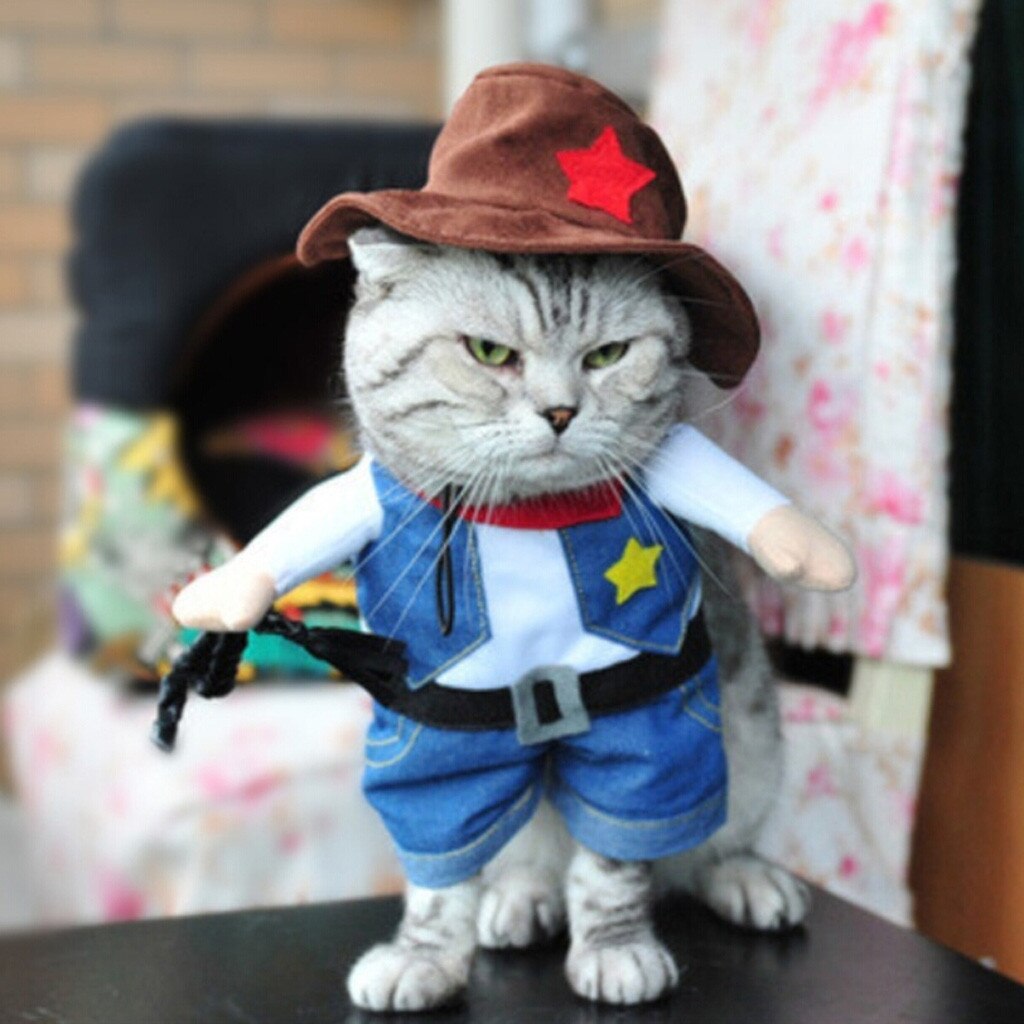 Kitty Cat Costumes