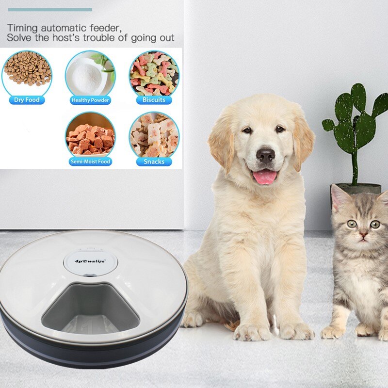 Automatic Timed Pet Feeder