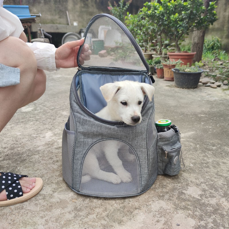 Small Pet Mesh Backpack